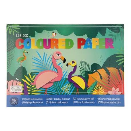 Gagit du papier artisanal coloré aux Pays-Bas, 48 feuilles