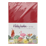 Gagne Holland carton photo A4