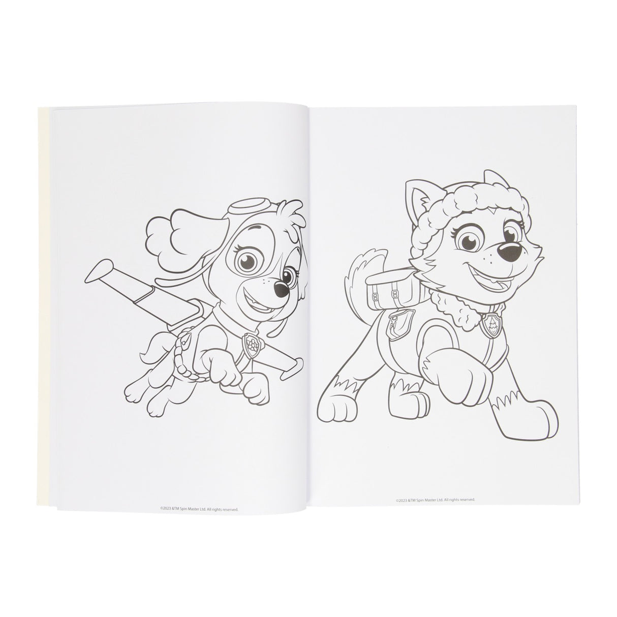 Livre de coloriage Wins Holland Paw Patrol, 128 pages.