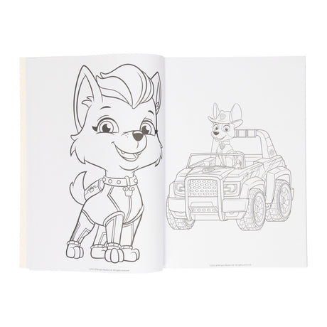 Livre de coloriage Wins Holland Paw Patrol, 128 pages.