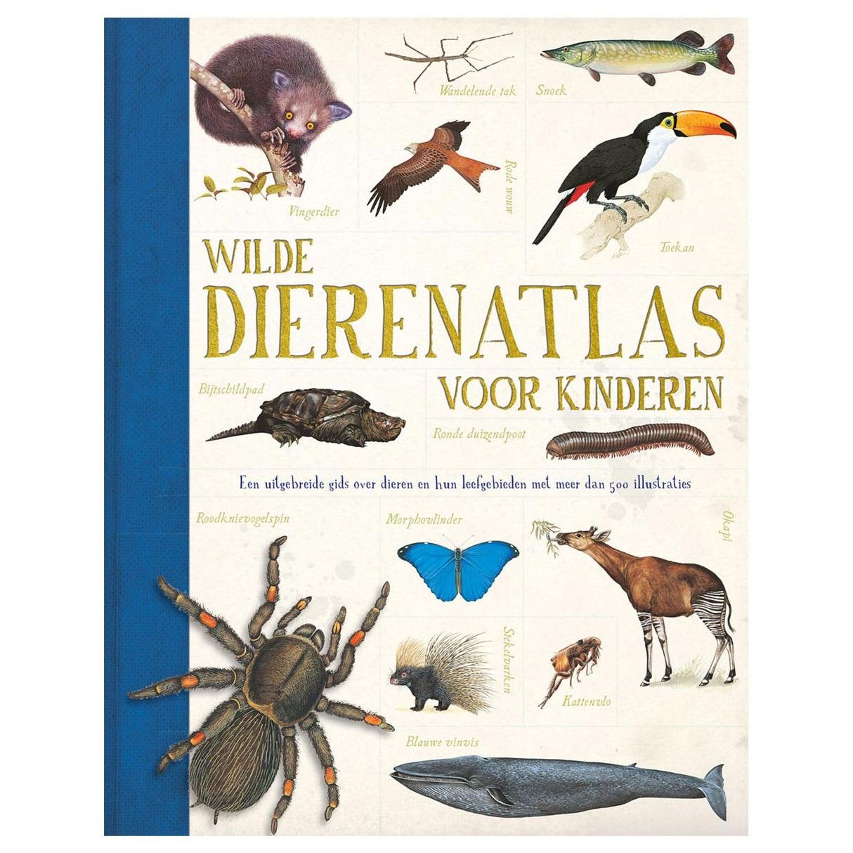 Rebo forlag Wild Dierenatlas for barn