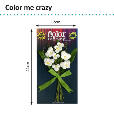 Petaloo • colore-moi des bouquets fous pensées x8