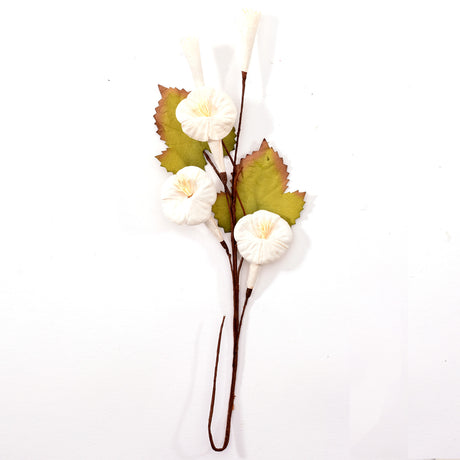 Petaloo • spray de vigne trompette color me crazy