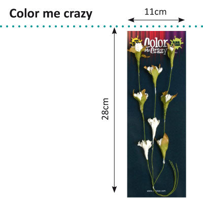 Petaloo • spray de vigne fleurie color me crazy