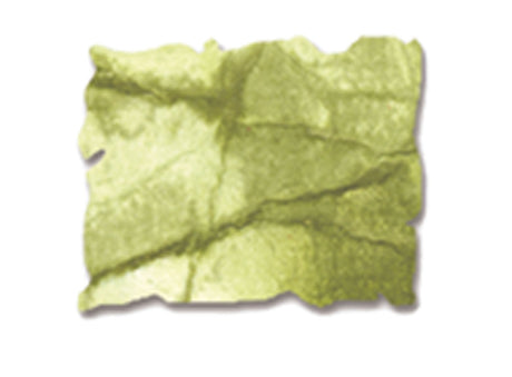 Ranger Ink Ranger • Tim Holtz Spray de détresse Peinture pelée
