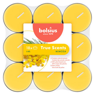 Bolsius | 4 pièces
