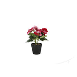 Violette en pot en plastique env. 21cmh couleurs assorties | 4 pièces