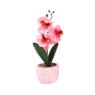 No brand Orchidée artificielle en pot 28 cm 6 assortis | 12 pièces