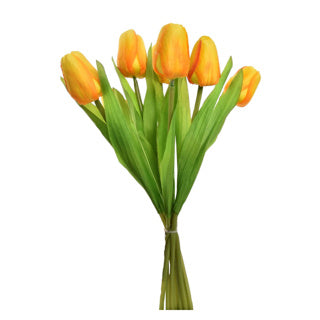 Bouquet de tulipes 7 tulipes 35 cm assorties | 4 pièces