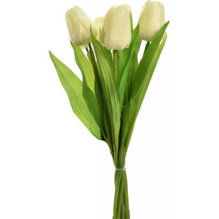 No brand bouquet de tulipes 7 pièces 36 cm crème | 4 pièces