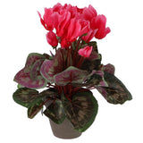 Plante artificielle cyclamen rose en pot
