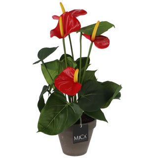 Edelman plante artificielle anthurium rouge en pot