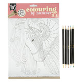 Groupe d'artisanat créatif couleur par numéro avec 5 crayons de couleur