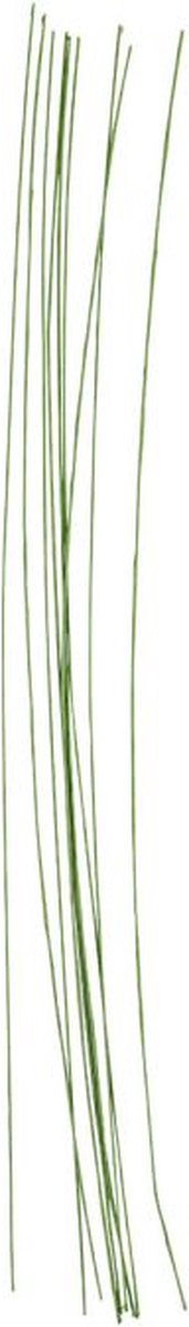 Société créative https : www.ccobby.nl tige de fleur fil-l-30-cm-d-0-6-mm-green-20-piece-1-box