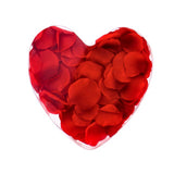 Kaemingk pétales de rose rouges dans une boîte cadeau coeur | 4 pièces