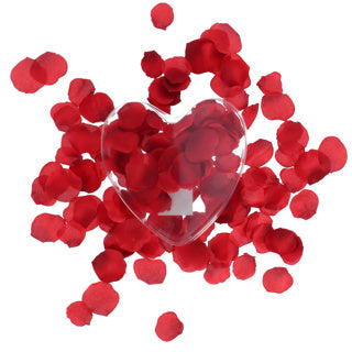 Kaemingk pétales de rose rouges dans une boîte cadeau coeur | 4 pièces