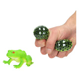Grenouille avec des œufs de grenouille