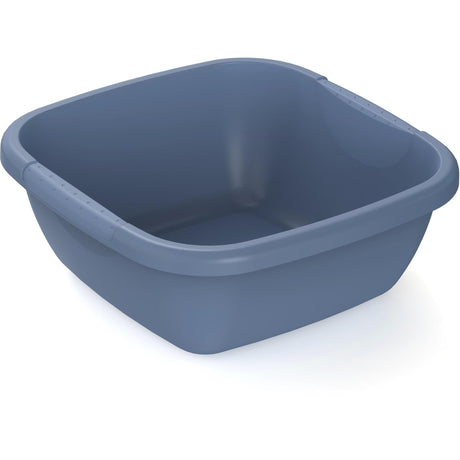 Rotho évier quotidien 29x29cm 5l bleu