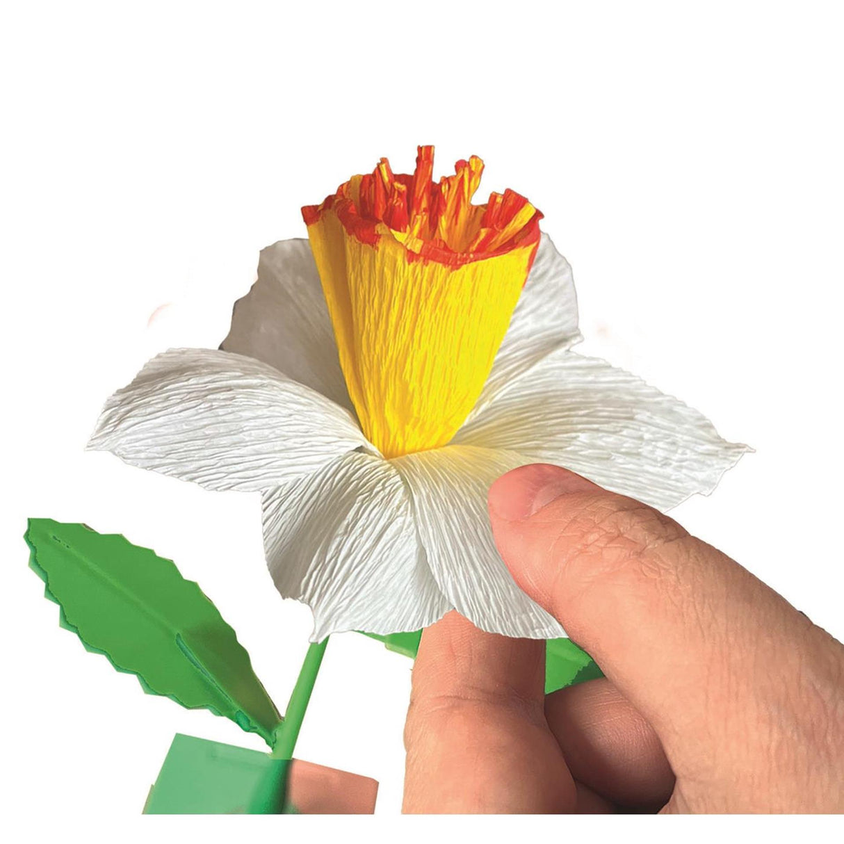 Clementoni créez vos fleurs - jonquille