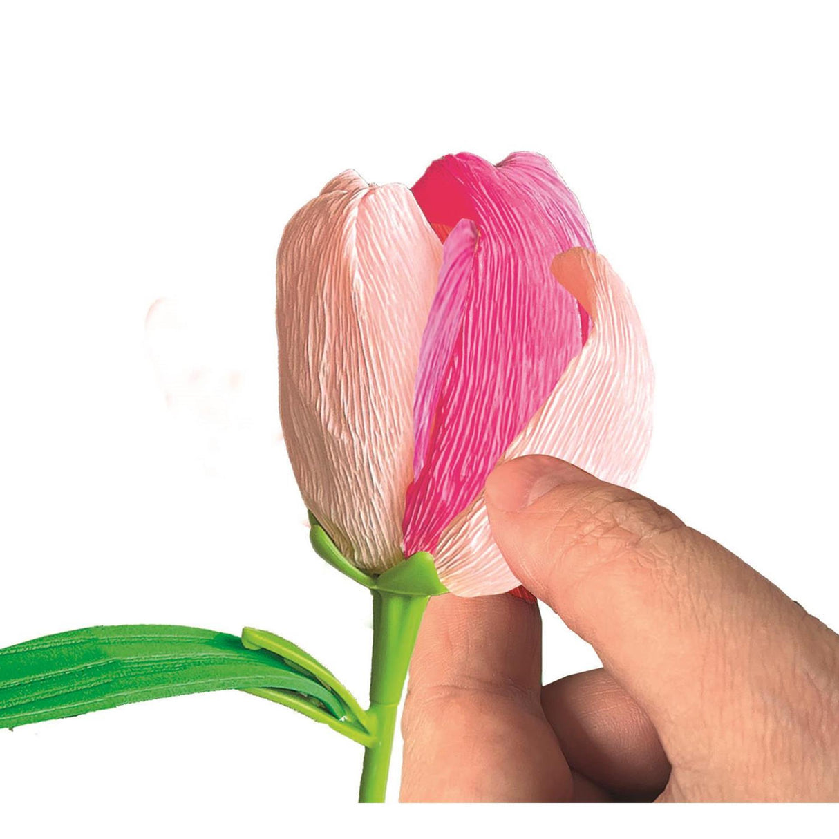 Clementoni créez vos fleurs - tulipe