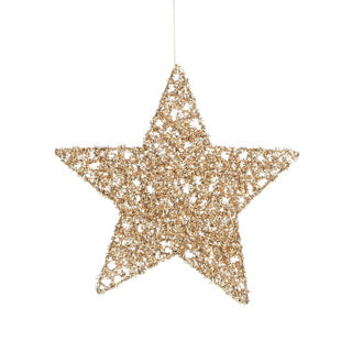 Edelman ornement étoile champagne - d25cm | 6 pièces