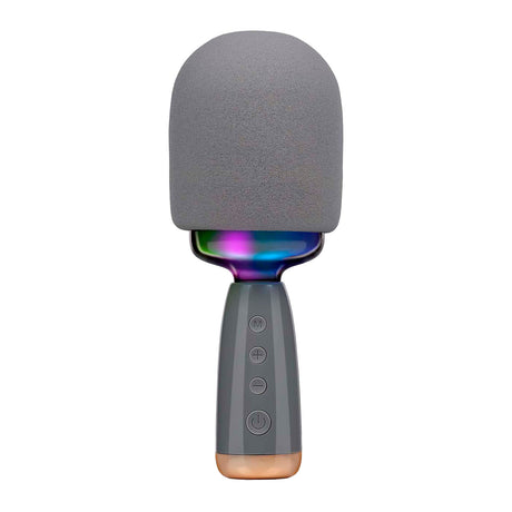 Karaoke microfoon speaker