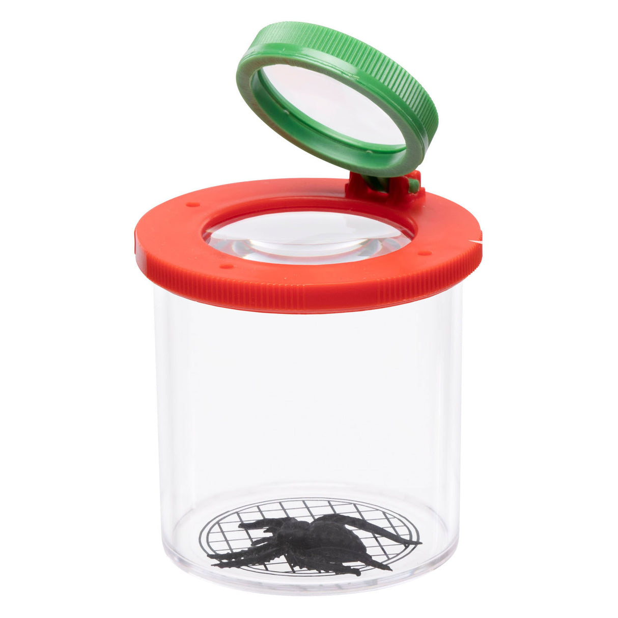 Insect pot with magnifying glass