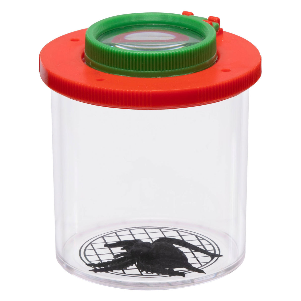 Insect pot with magnifying glass