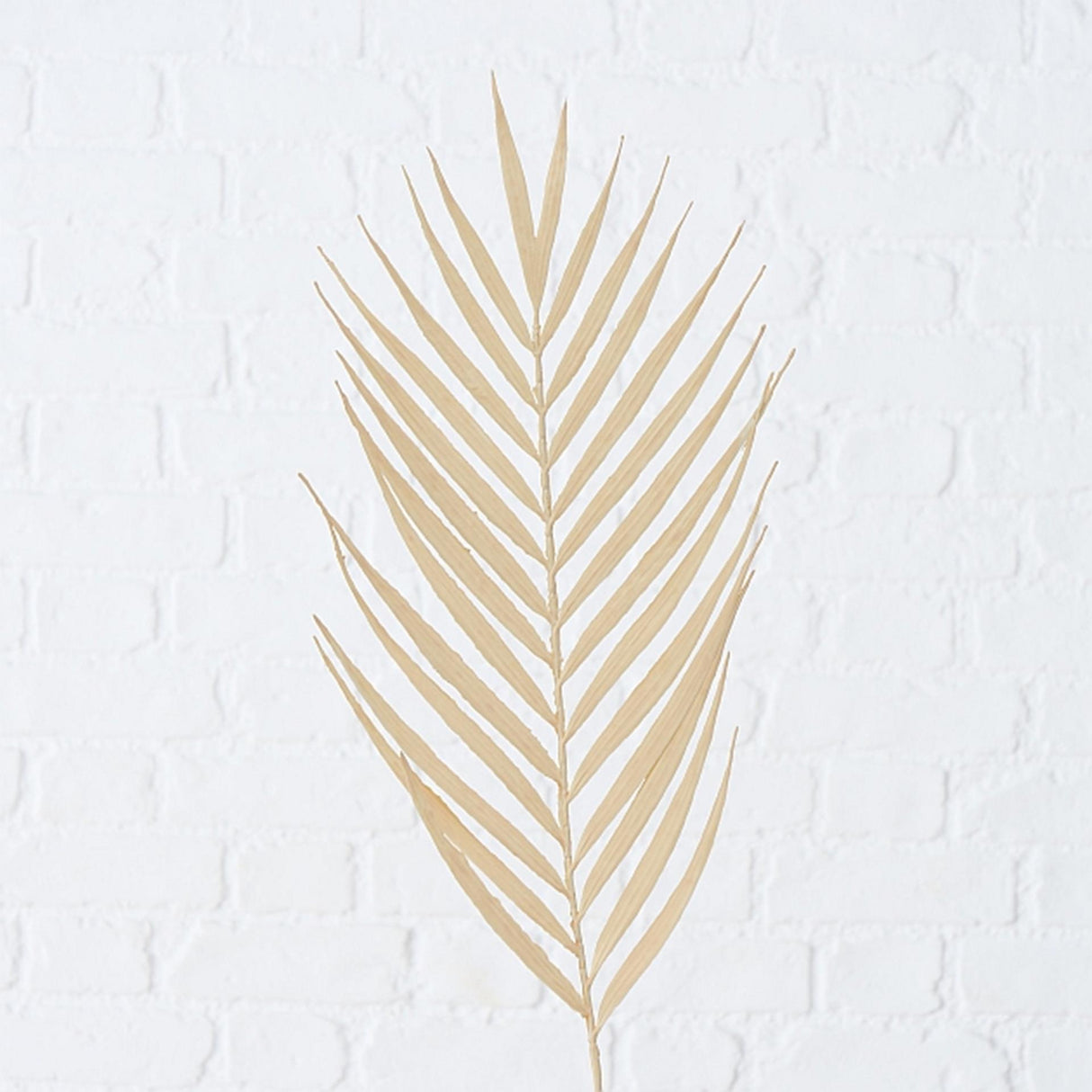 Boltze home branche artificielle branche déco 90cm feuille de palmier naturel