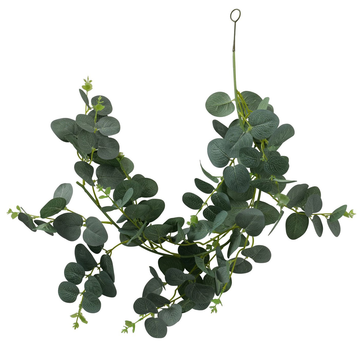 Boltze guirlande de plantes d'intérieur eucalyptus l75cm