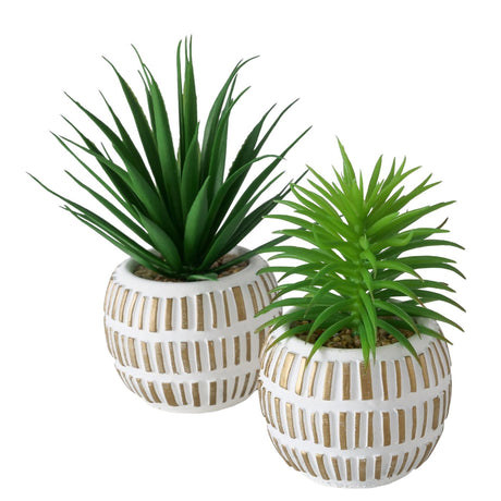 Boltze home plante artificielle plante succulente plastique 9x9x13,3cm 2 assortis