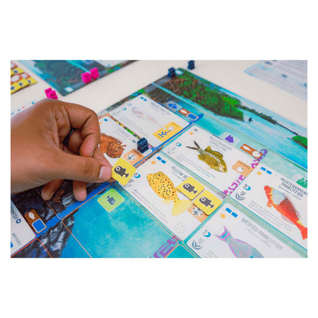 999games 999 jeux jeu de société Finspan