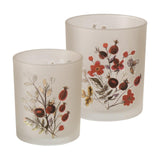 Boltze home windlicht rosehip 2-delig set h8,5-10cm glas gelakt beige rood