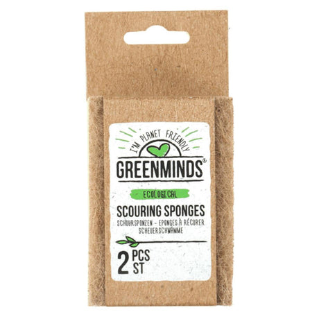 Greenminds tampons à récurer 2 pièces