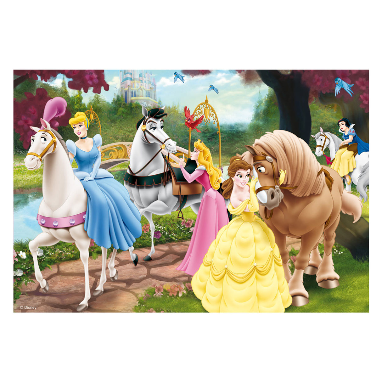 Ravensburger puzzle princesse disney princesses enchanteresses - 2x24 pièces - puzzle enfant