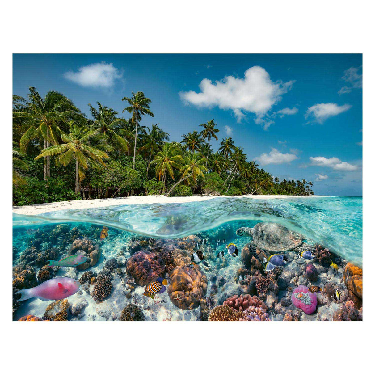 Ravensburger puzzle une plongée aux Maldives, 2000 pcs.