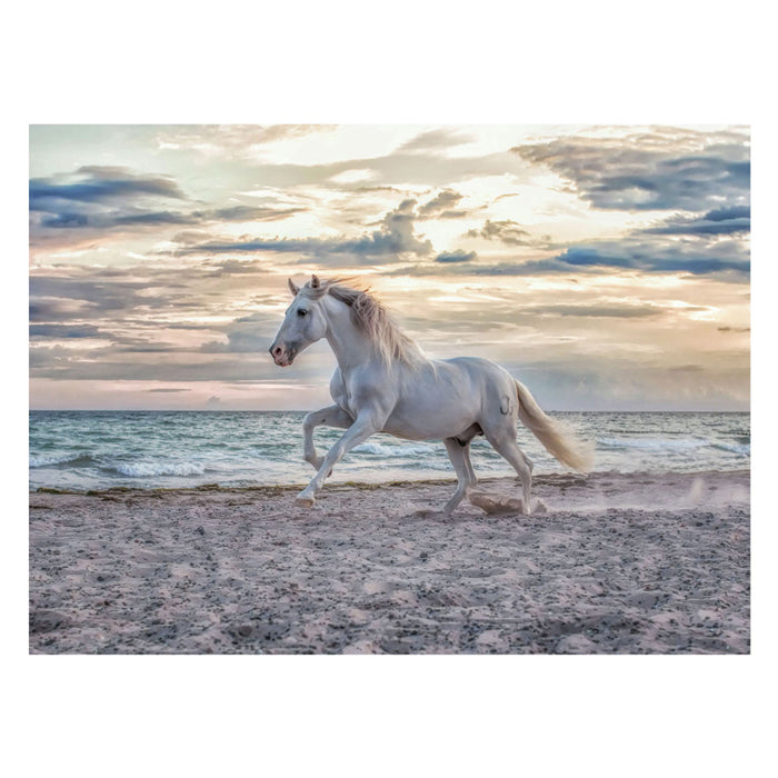 Ravensburger Jigsaw Puzzle Horse på stranden, 500.