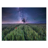 Ravensburger Jigsaw Puzzle Night Him.Uber Dem Kornfeld, 1500st.