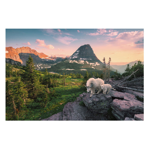 Ravensburger puzzle almbock avec bébé, 3000 pcs.