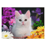 Ravensburger Puzzle de puzzle xxl beau chaton, 100e.