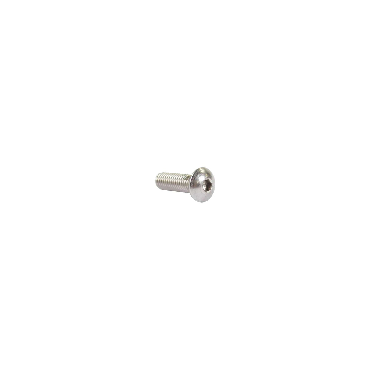 Allenbout Bolkop M6 x 20 mm en acier inoxydable 25 pièces (214291)