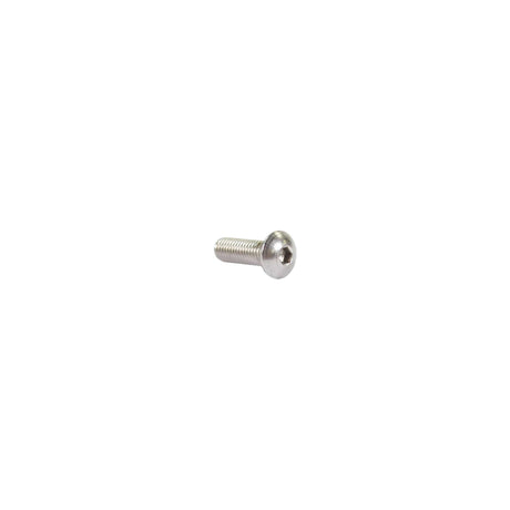 Allenbout Bolkop M6 x 20 mm en acier inoxydable 25 pièces (214291)