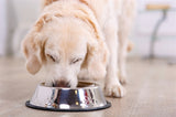 Bol de nourriture antidérapant pour animaux de compagnie Happy