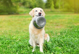 Bol de nourriture en acier inoxydable pour animaux de compagnie Happy