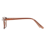 Lunettes de lecture Spectrum marron transparent 1,00