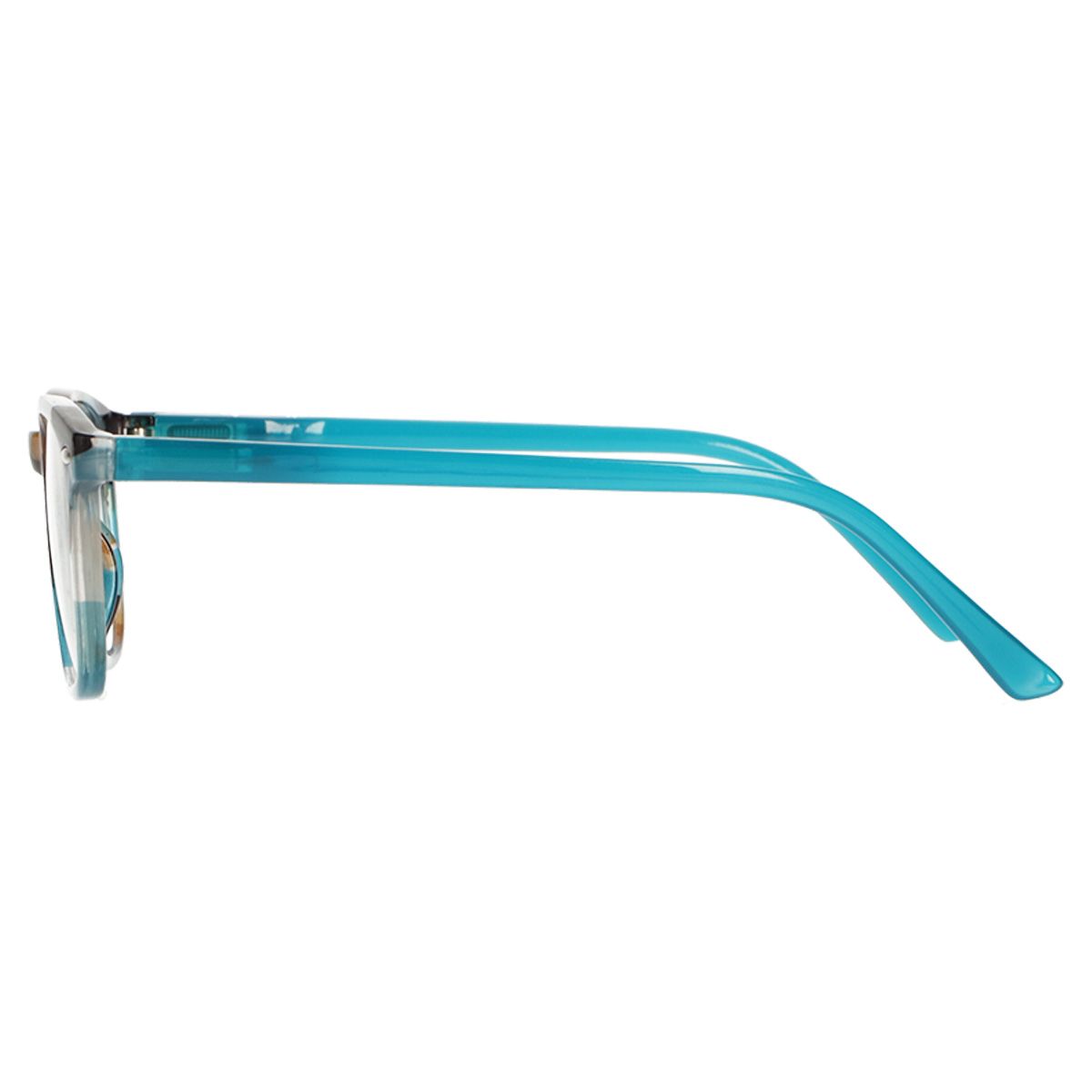 Lunettes de lecture Spectrum bleu marron 3,00