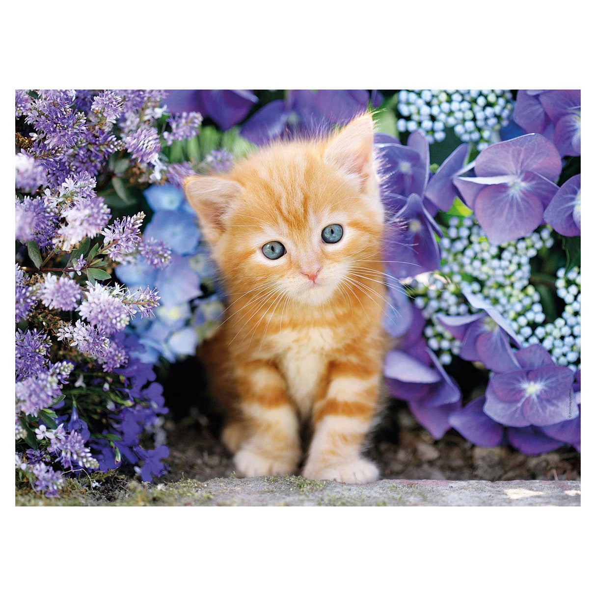 Clementoni Puzzle Cat mit Blumen, 500st.