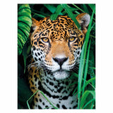 Clementoni Puzzle Jaguar dans la jungle, 500e.