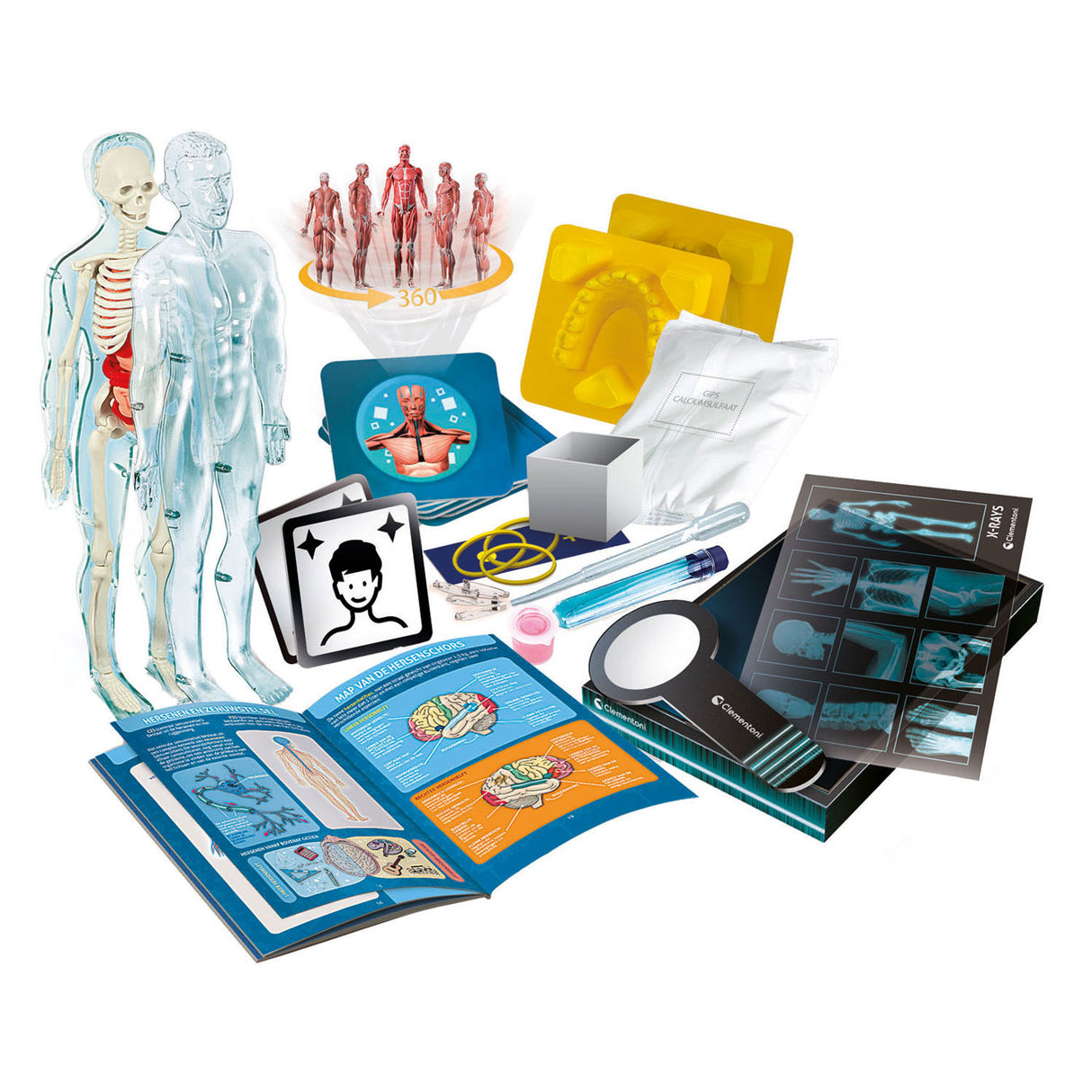 Jeu scientifique Clementoni - super anatomie - le corps humain - jouets éducatifs - à partir de 8 ans