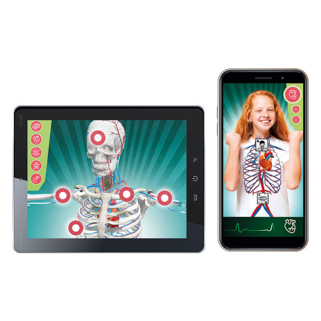 Jeu scientifique Clementoni - super anatomie - le corps humain - jouets éducatifs - à partir de 8 ans